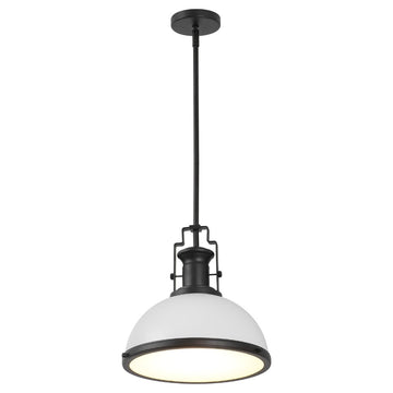 Homer Modern Industrial Iron LED Dome Pendant